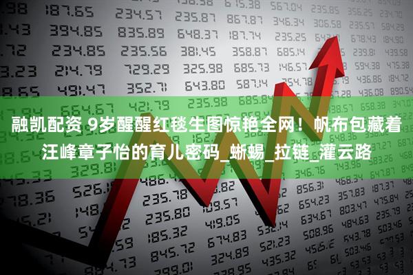 融凯配资 9岁醒醒红毯生图惊艳全网！帆布包藏着汪峰章子怡的育儿密码_蜥蜴_拉链_灌云路