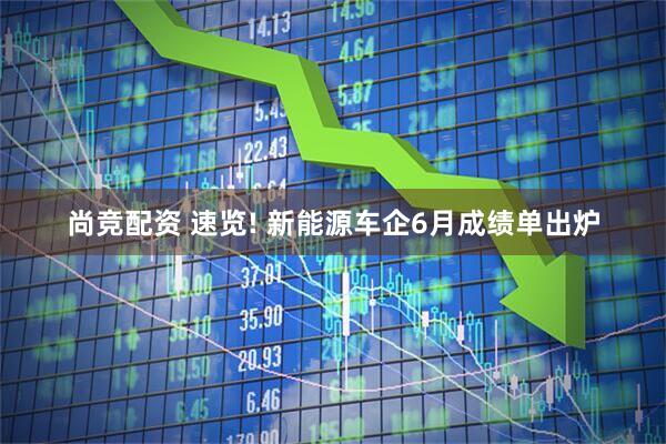 尚竞配资 速览! 新能源车企6月成绩单出炉
