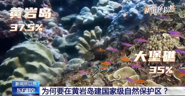 红牛配资 为何建立黄岩岛国家级自然保护区？解读来了